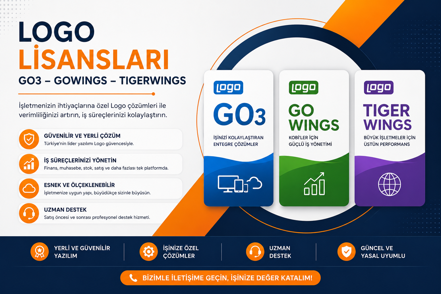 Logo Erp Lisanları